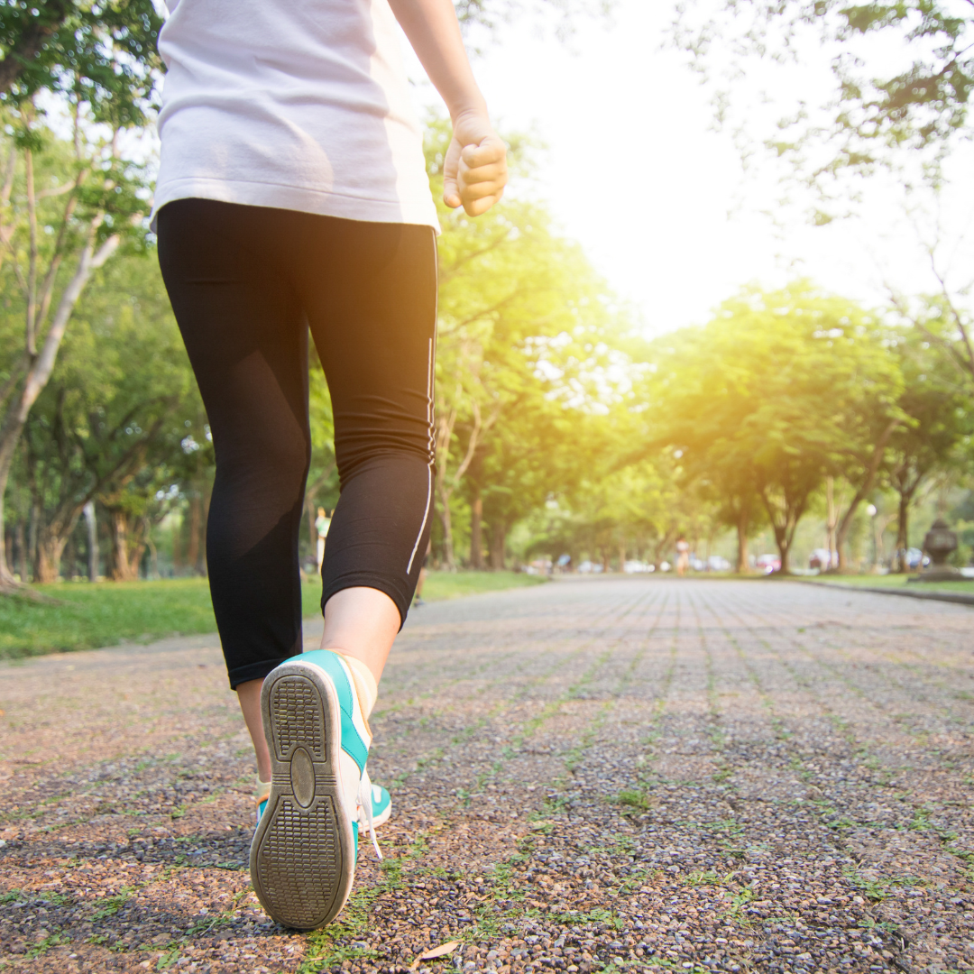 Performance Physical Therapy Wichita