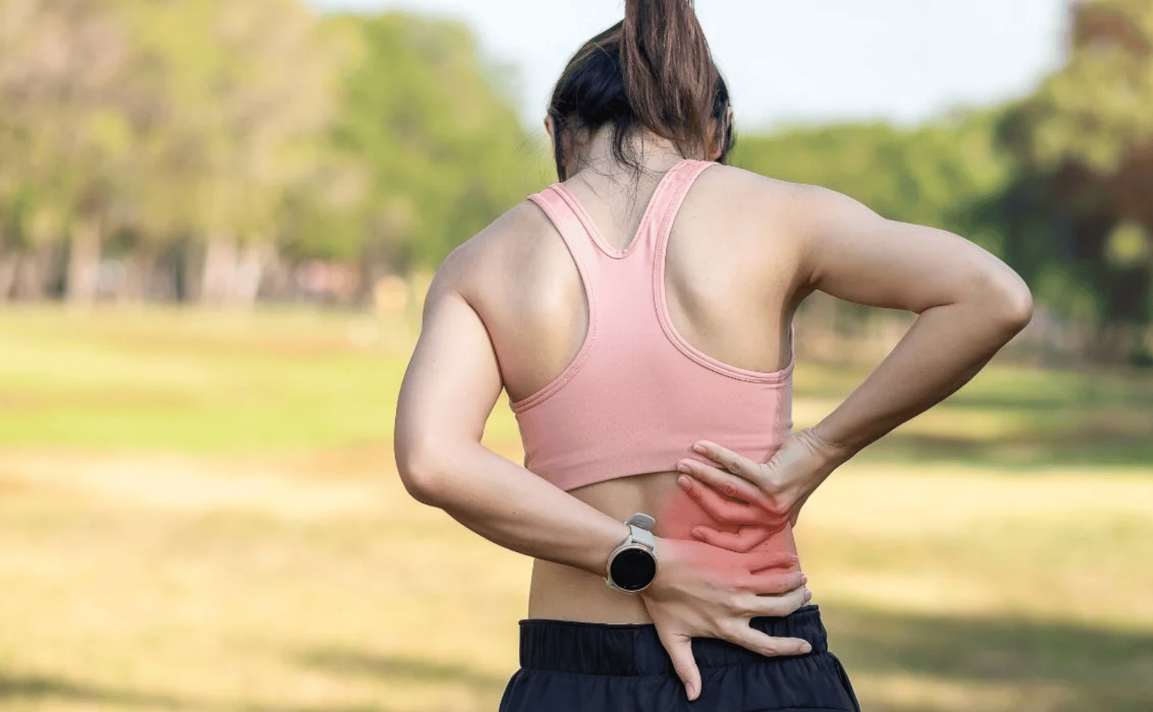 Manual Physical Therapy