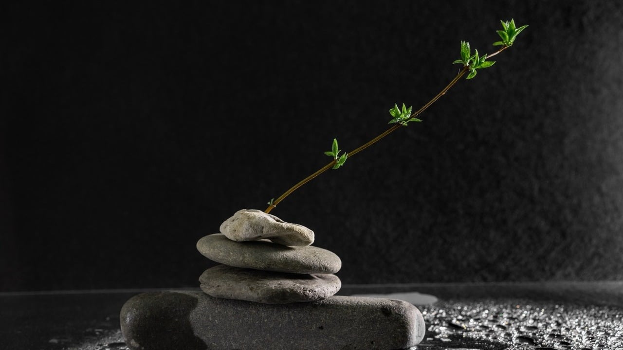 zen